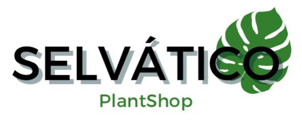 Selvatico Plant Shop