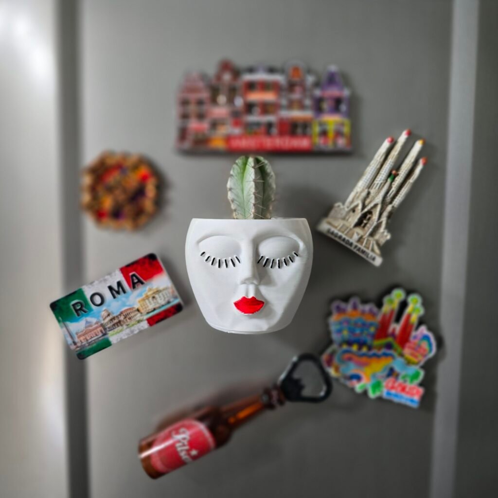 Kalanchoe o Mala Madre - Selvatico Plant Shop